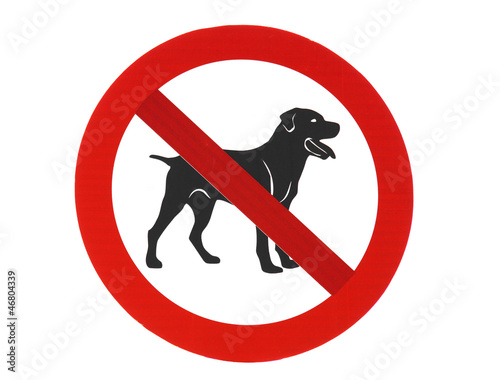 No dogs allowed