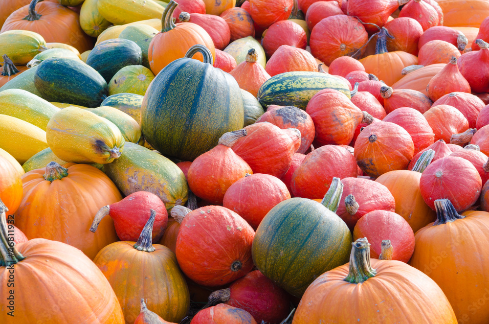 Pumkins