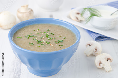 Bowl of mushroom soup with fresh mushrooms and dill close up hor