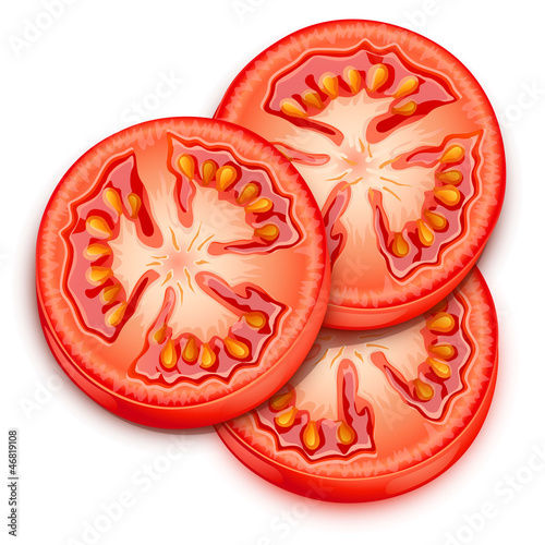 a slice of tomato-vector