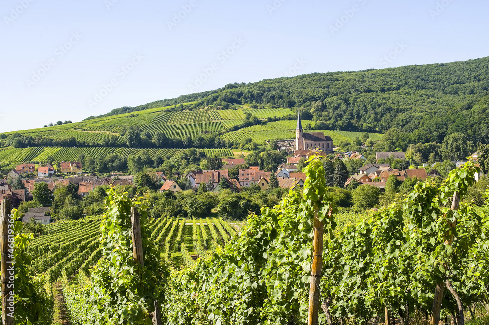Andlau (Alsace) - Vineyards
