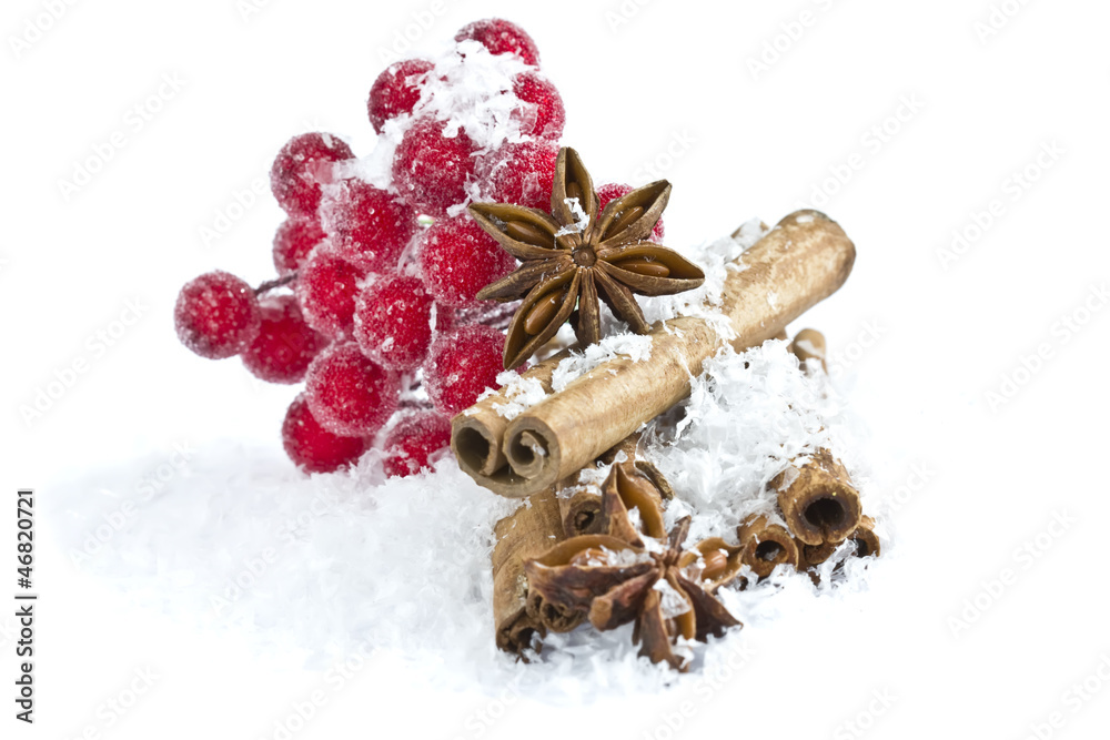 Group of spaces with cinnamon and anise isolated on white Group of spaces with cinnamon and anise isolated on white