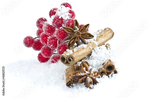 Group of spaces with cinnamon and anise isolated on white photo