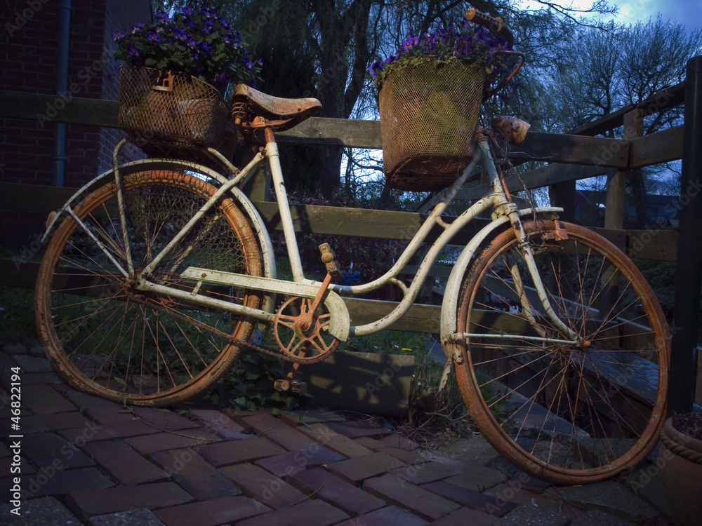 rusty bicycle with flowers