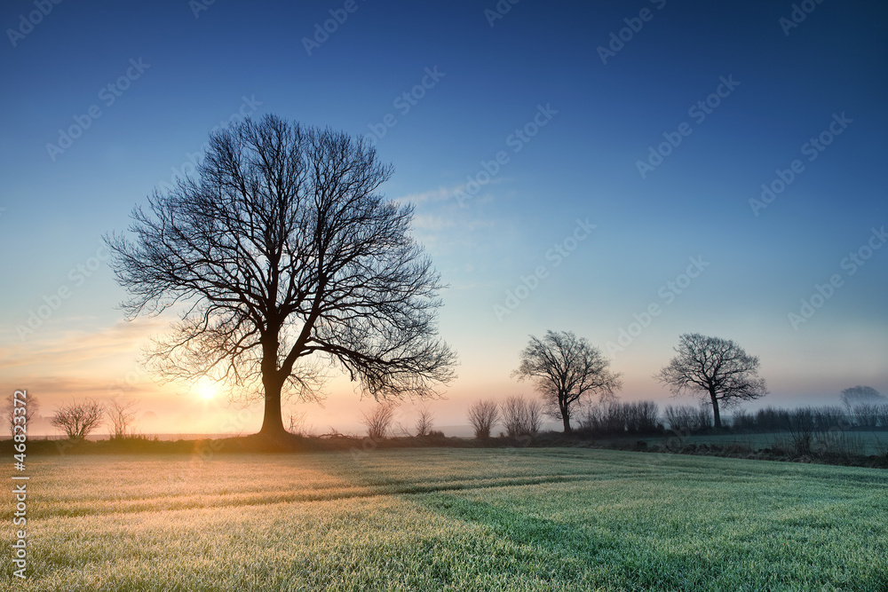 Obraz premium Sonnenaufgang