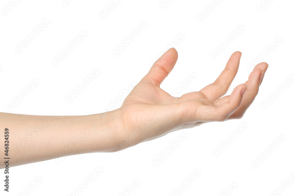 Open woman hand on white background Open woman hand on white background