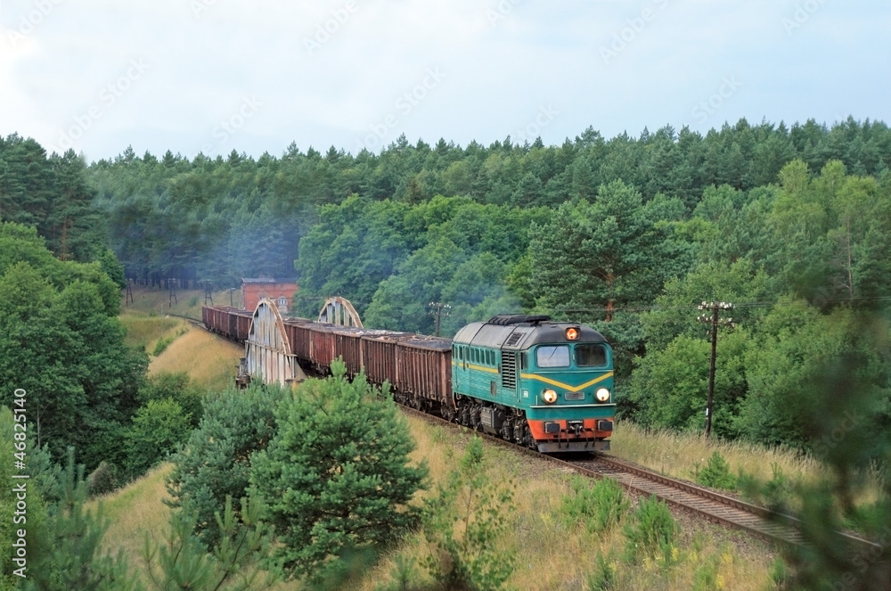 Freight diesel train Freight diesel train