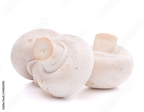 Champignon mushroom