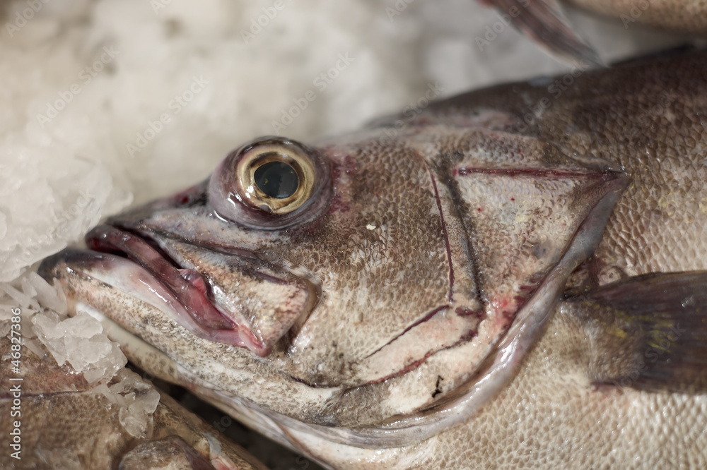 Raw seafood Raw seafood