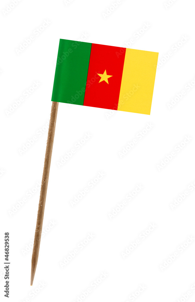 Flag of Cameroon