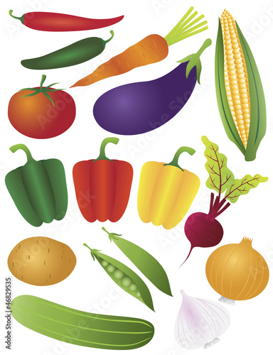 Fototapeta Naklejka Na Ścianę i Meble -  Vegetables Illustration Isolated on White Background