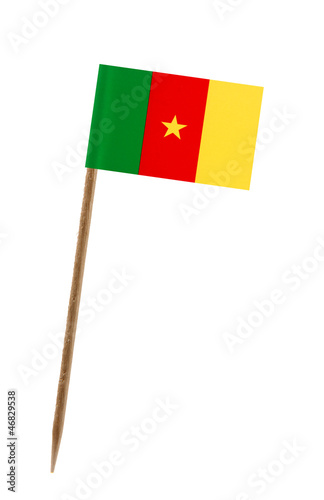 Obraz na płótnie Flag of Cameroon w salonie
