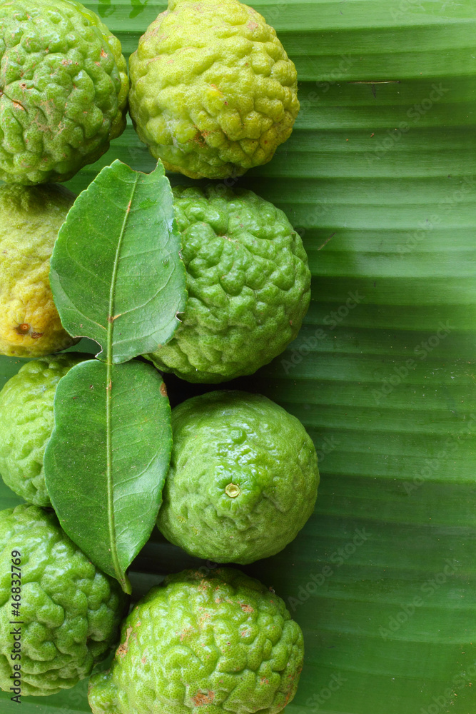 Fototapeta premium kaffir