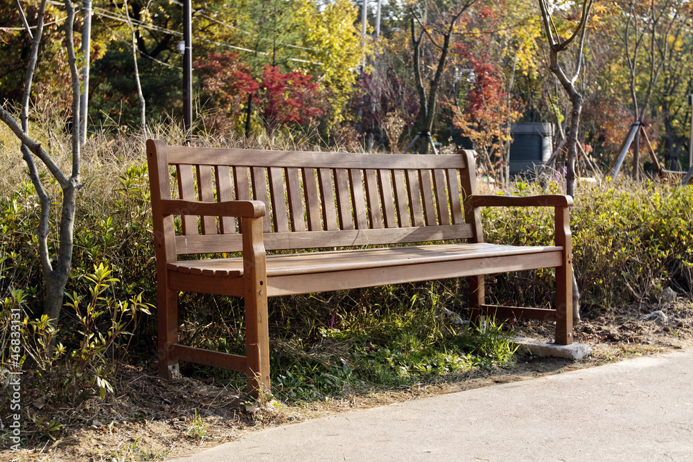 Wooden bench in a park on a colorful foliage background