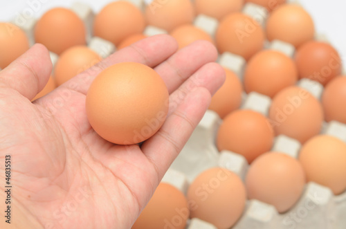Hand select egg in carton