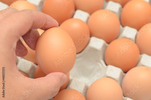 Hand select egg in carton