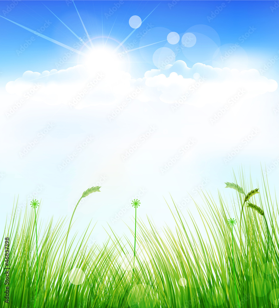 Fototapeta premium vector background with a blue sky, grass and sun