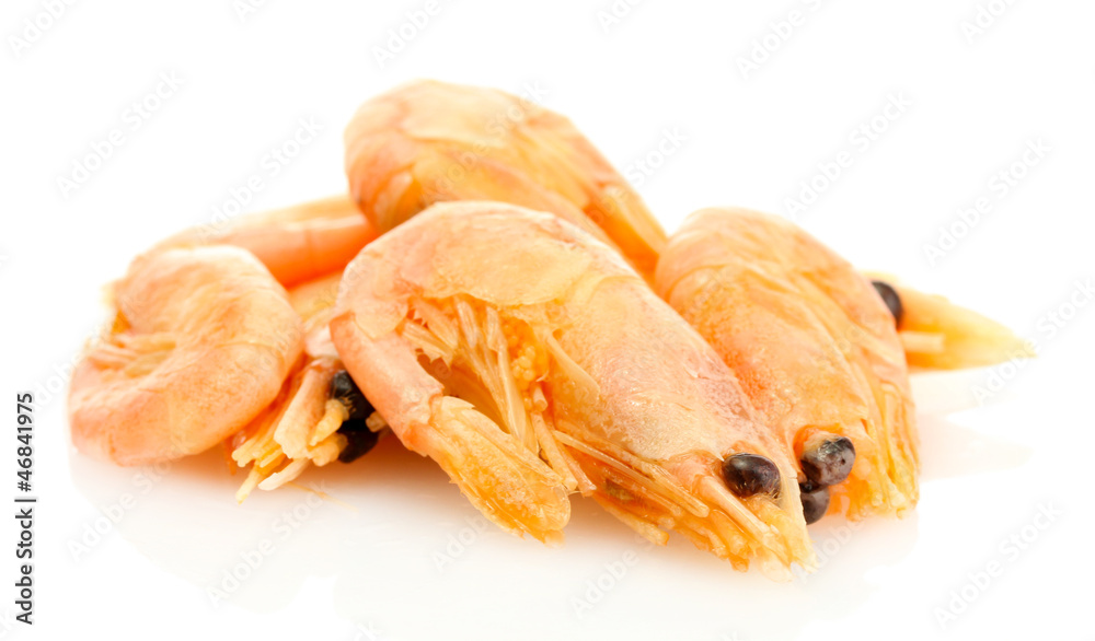 Boiled shrimps isolated on white Boiled shrimps isolated on white