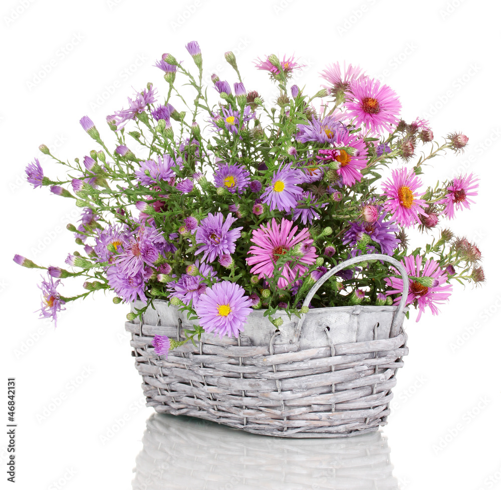 beautiful bouquet of purple flowers in basket isolated on white