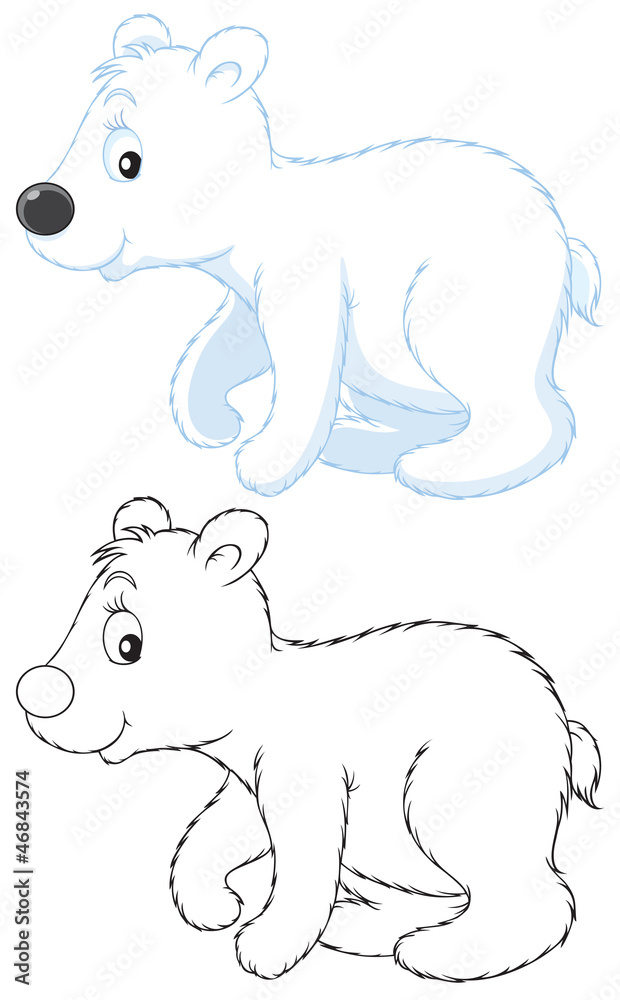 Polar bear Polar bear