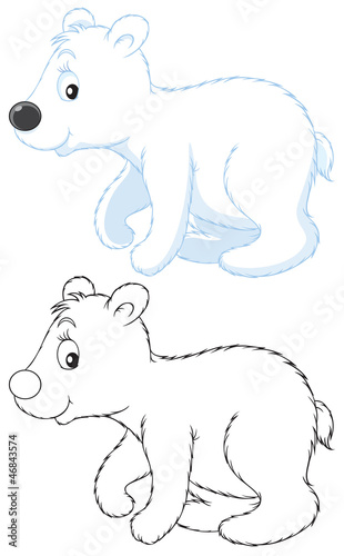 Polar bear