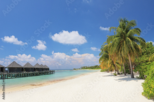 Scene of beach with palm trees and villa cottages at Maldives is