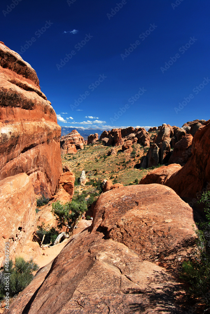 Fototapeta premium Parc National Arches, Ouest Américain, USA