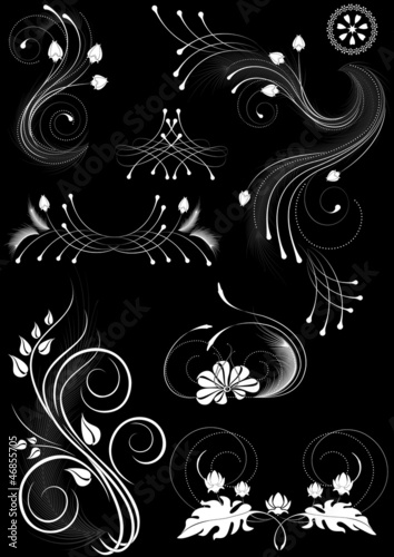 Flourishes decorative details on black background