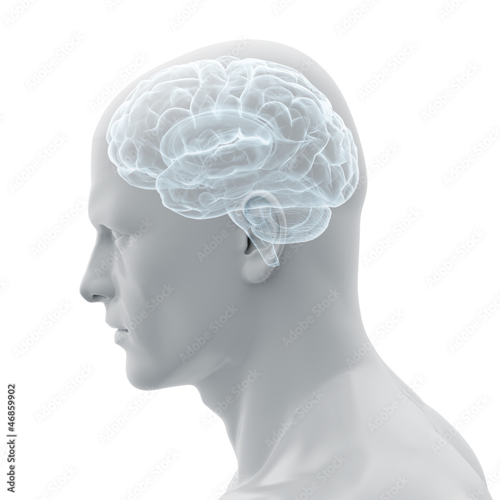 Menschliches Gehirn - Röntgenbild - obrazy, fototapety, plakaty 
