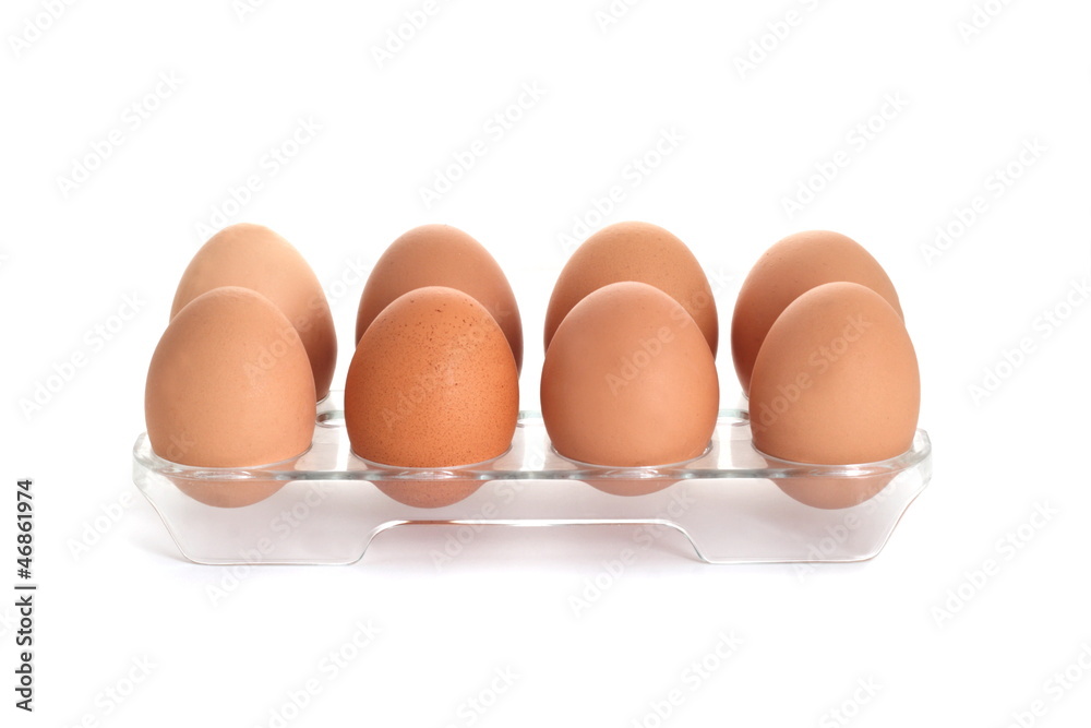 chicken eggs chicken eggs