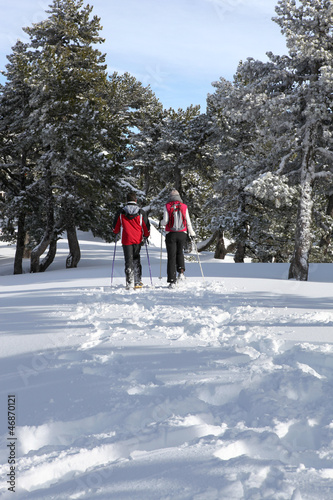 Couple cross-country skiing through woods