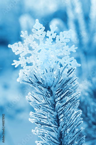 Decorative snowflake on top of the tree Winterhoof