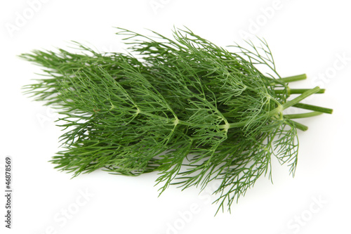 Fennel spice