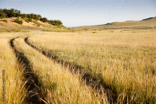 Photos A road in the Gobi Desert. Mongolia