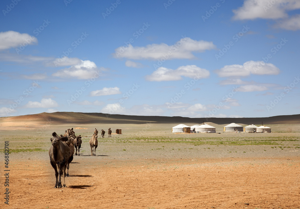 A camel caravan across the desert