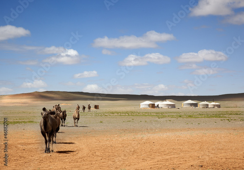A camel caravan across the desert