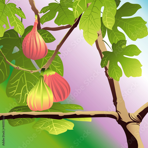 Three Red Figs