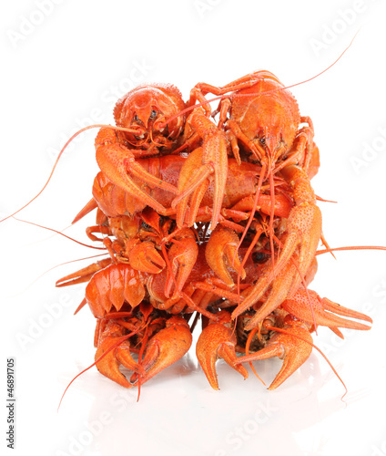 Tasty boiled crayfishes isolated on white