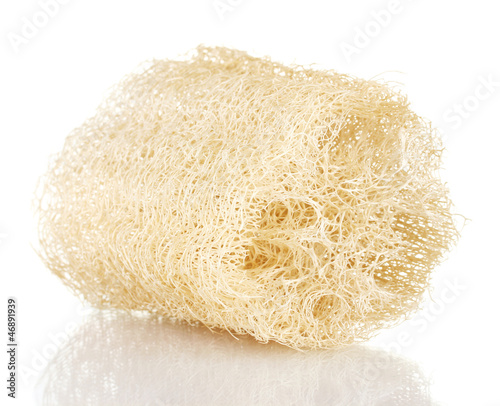Obraz na płótnie Loofah isolated on white