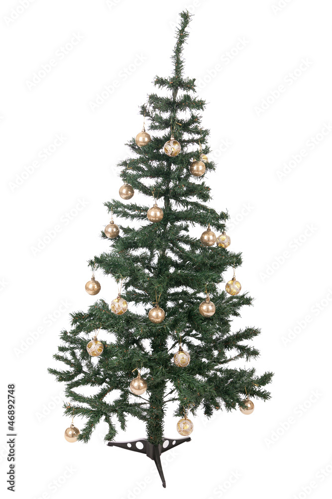 An isolated Christmas tree An isolated Christmas tree