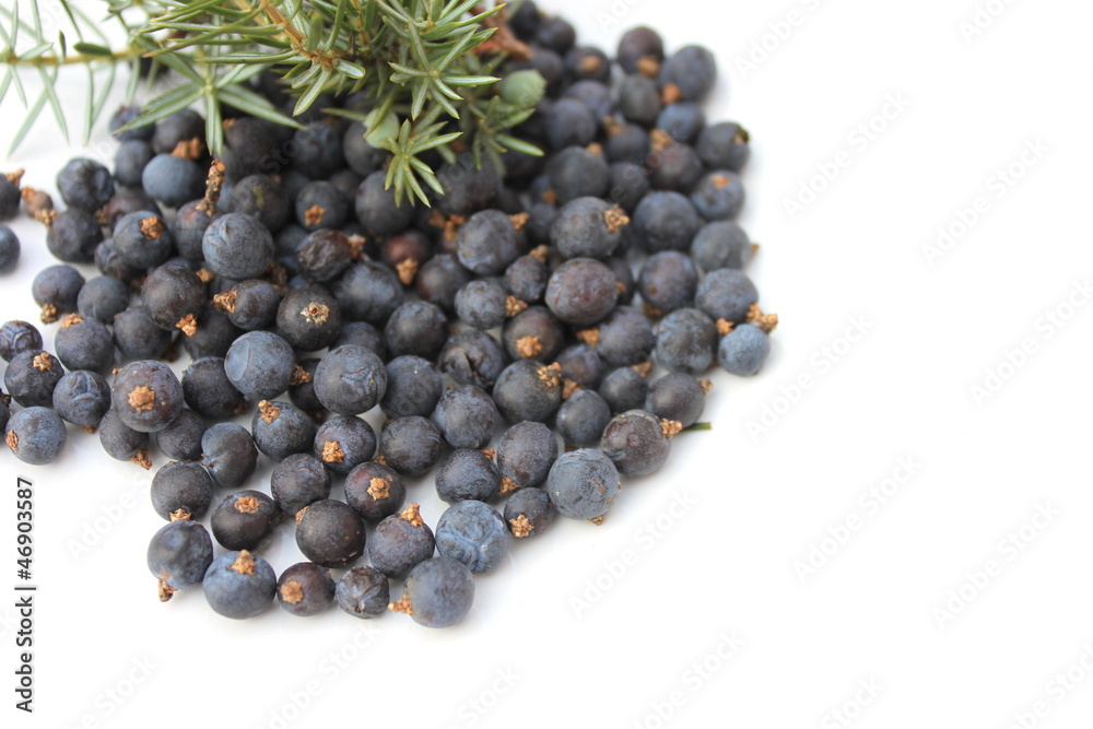 juniper