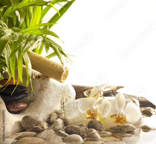 Orchids and zen stones with falling water spa concept background