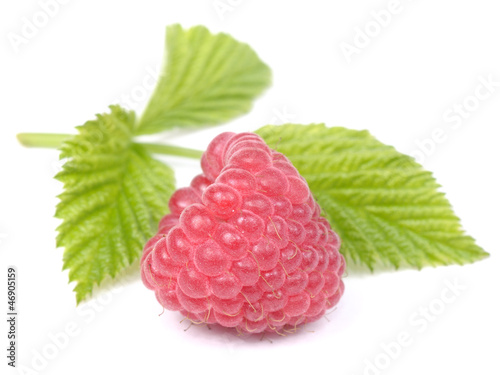 Red Raspberry with Green Leaf Isolated on White Background