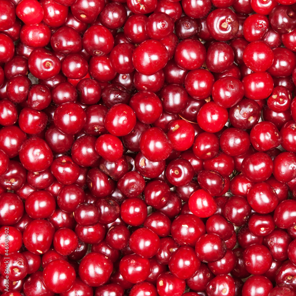 red cherry red cherry
