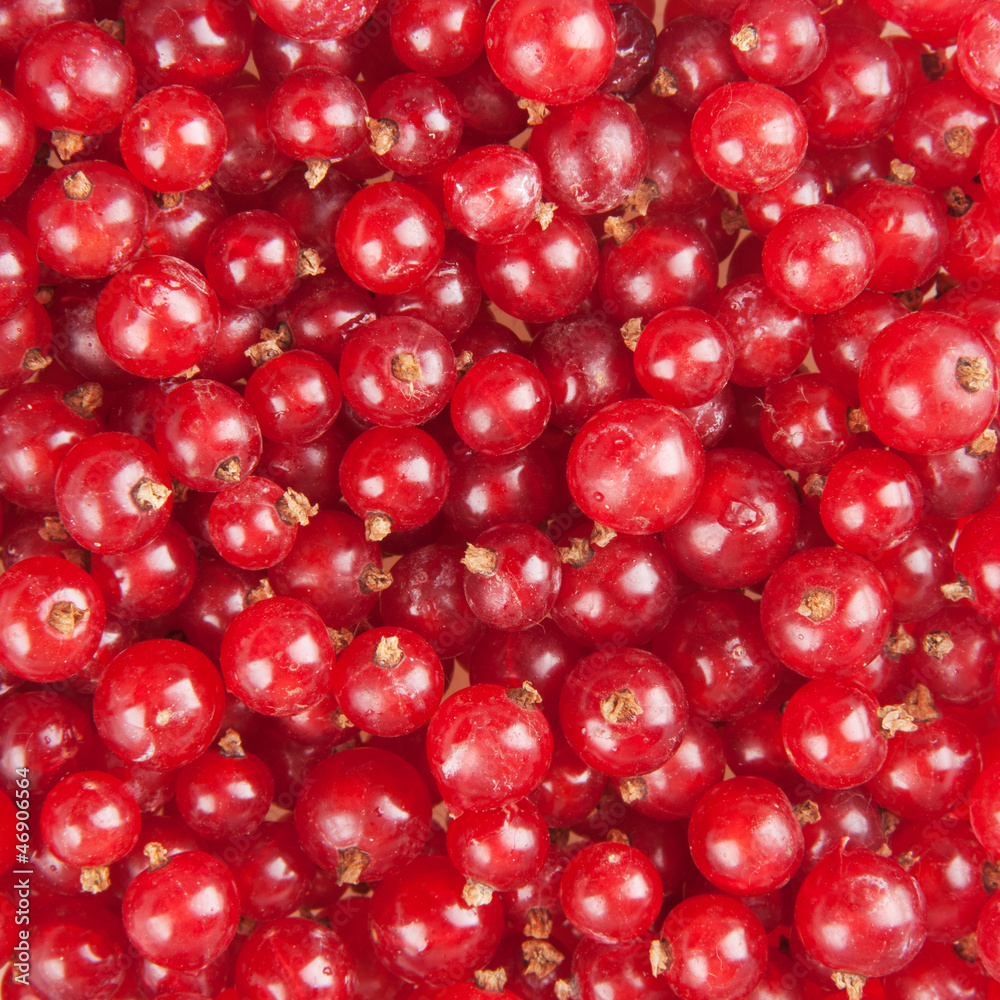 redcurrant