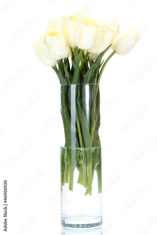 beautiful tulips in glass vase isolated on white.