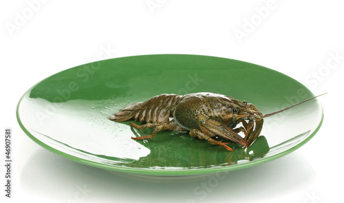 green crayfish on the plate isolated on white