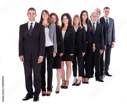 Quadro em tela Group of confident business people