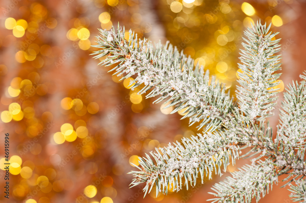fir tree branch with snow on golden bokeh background
