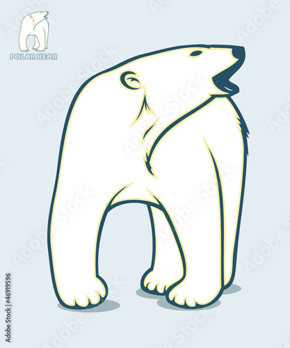 Isolated polar bear